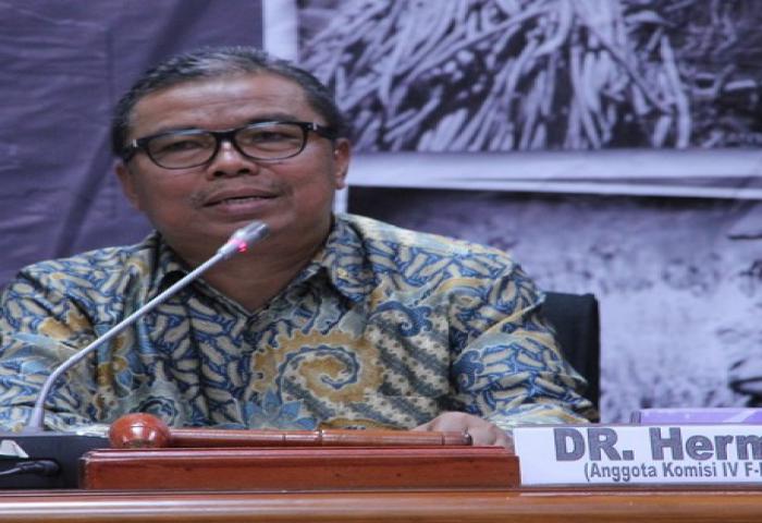 Anggota DPR: Proyek Reklamasi Teluk Jakarta Akan Membebani Anggaran Negara